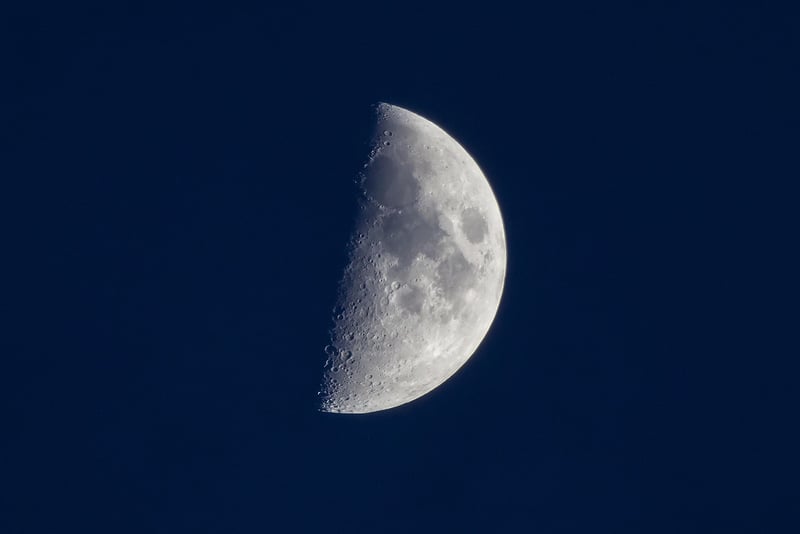 Lunar Colonization